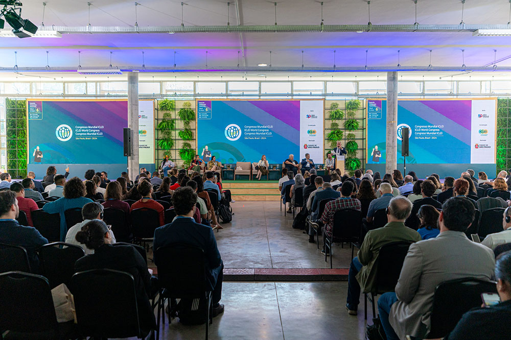 Números do Iclei